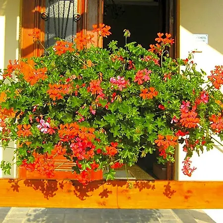 Le Petit Normand Bed & Breakfast