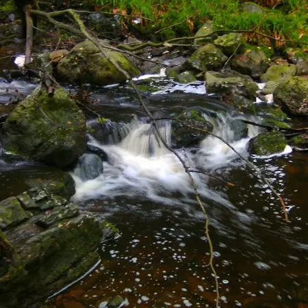 Bed and Breakfast Le Petit Normand Jalhay