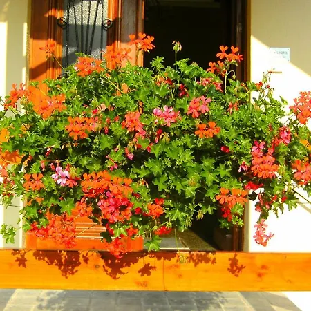 Bed and Breakfast Le Petit Normand