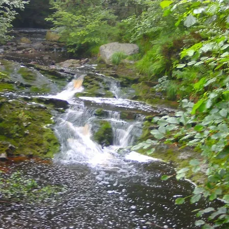 Le Petit Normand Bed and Breakfast 3*