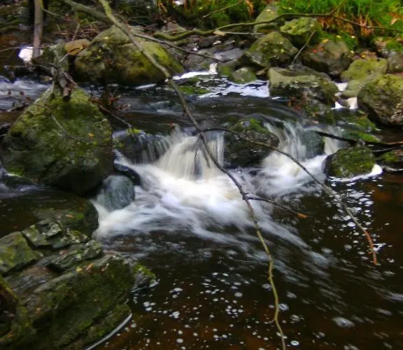 לינה וארוחת בוקר Le Petit Normand יאלהיי