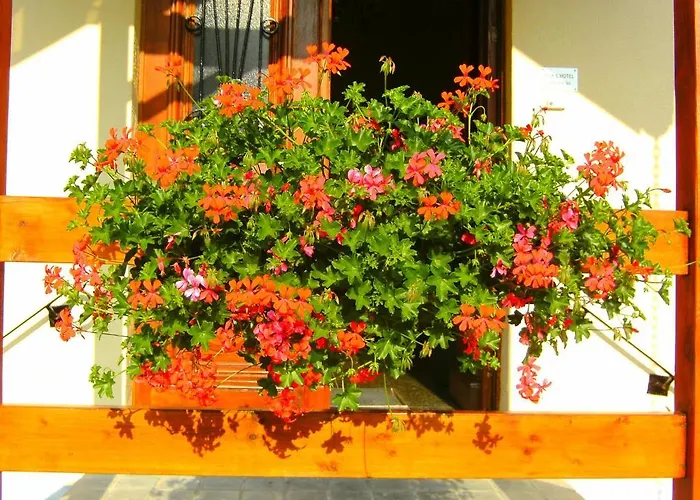 לינה וארוחת בוקר Le Petit Normand