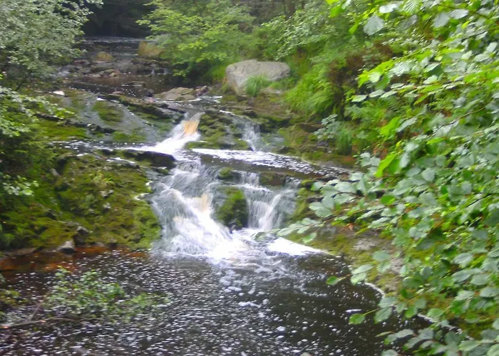 Le Petit Normand לינה וארוחת בוקר 3*